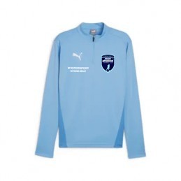 SWEAT PUMA Teamgoal 1/4 zip...
